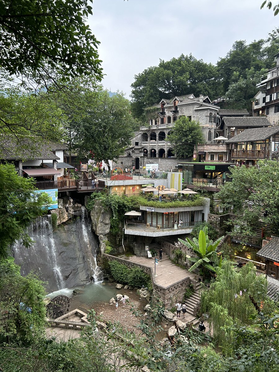 Lucernairele tweet media