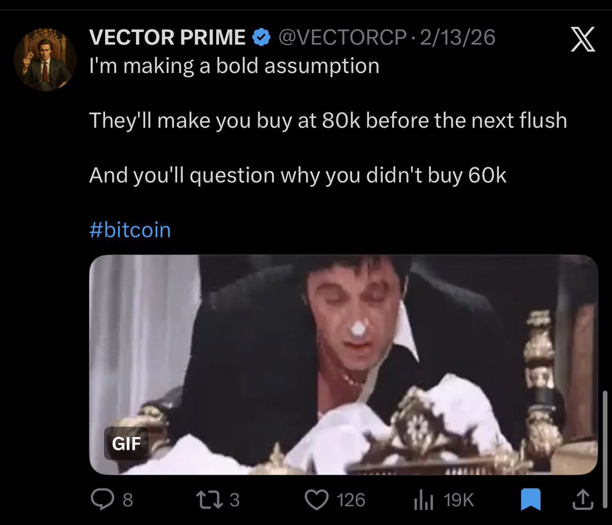 VECTOR PRIME tweet media