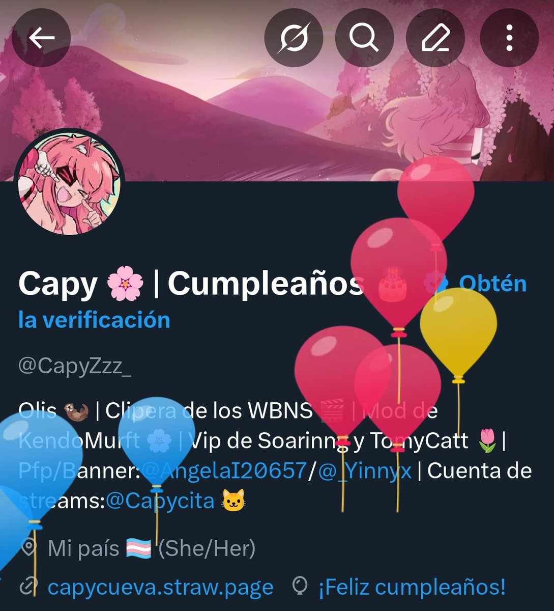 Capy 🌸 | Ya no cumple 💔 tweet media