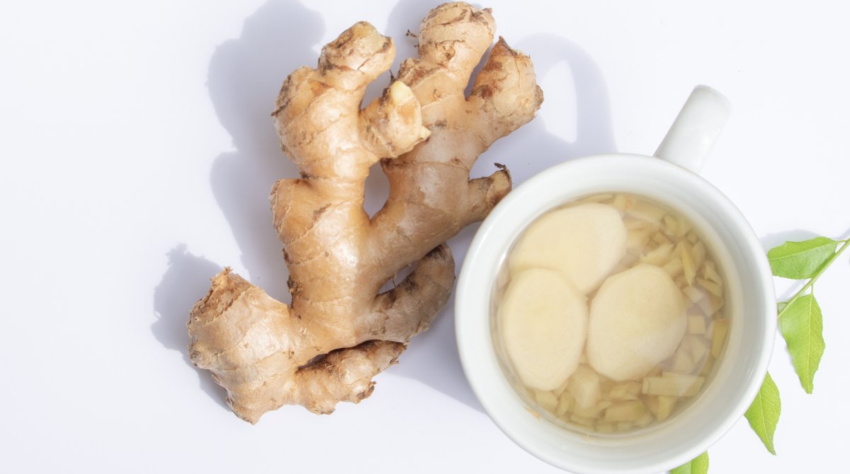 たねお｜オーガニック・無添加にこだわる健康食材の専門家 tweet media