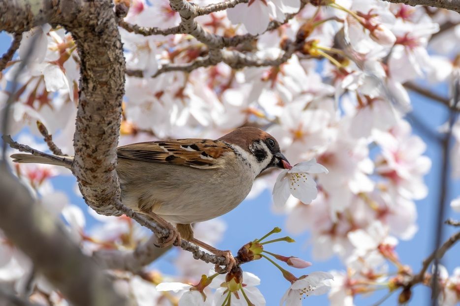 めてお~@ tweet media