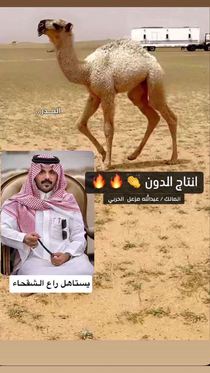 عاشق الوضحا .. al Bader 🅱️ tweet media