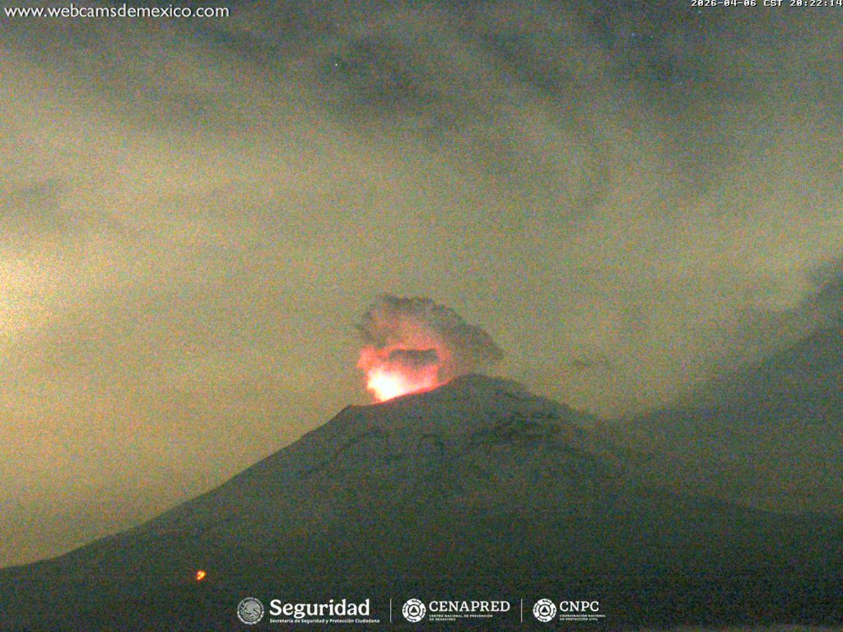 Webcams de México tweet media