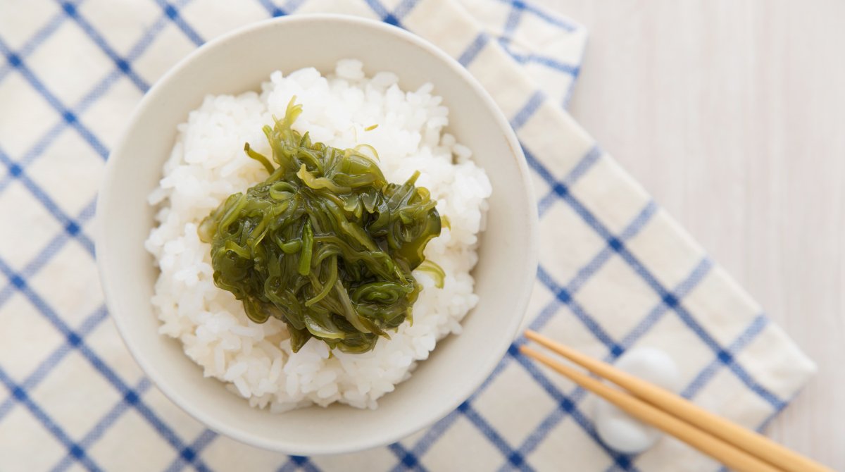 たねお｜オーガニック・無添加にこだわる健康食材の専門家 tweet media