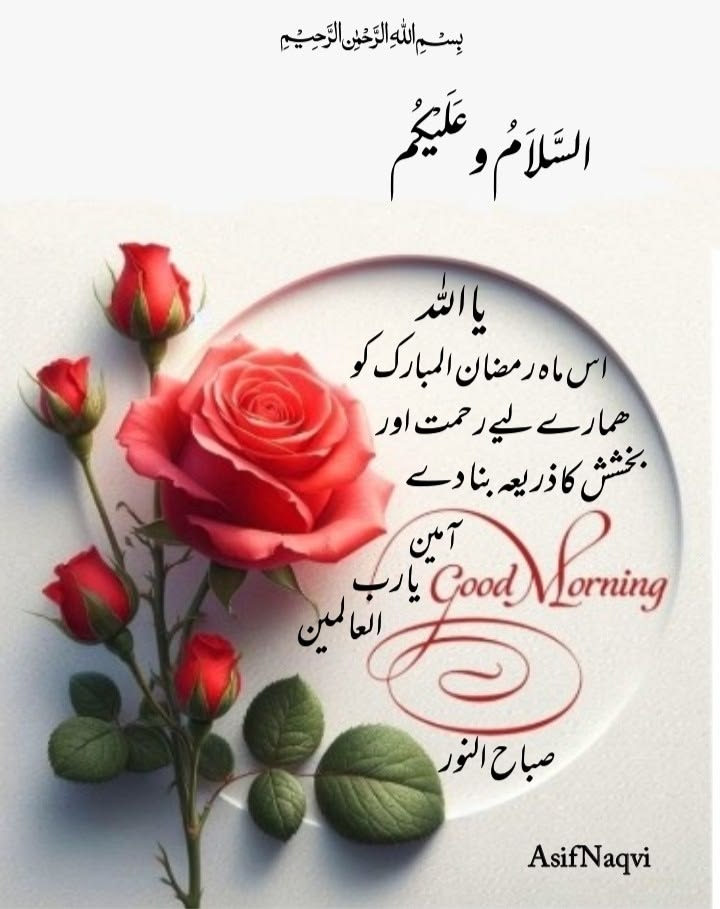 Raͥffͣuͫgar ❤️‍🩹سالار سکندر🌹بادیانِ وفا tweet media