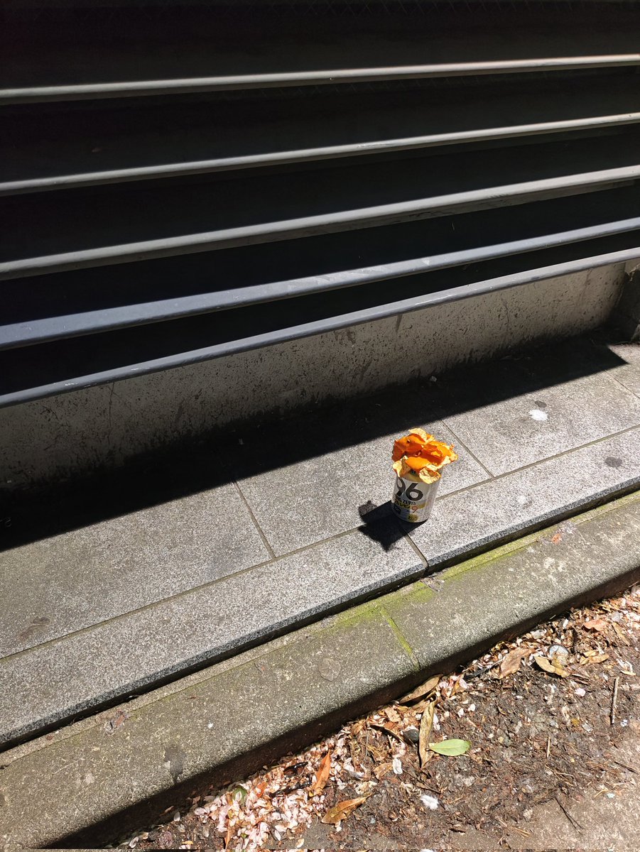 はちグラムのエロデロミキ tweet media