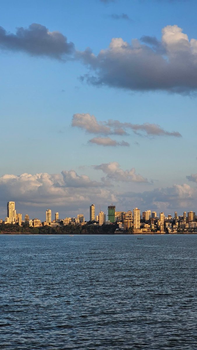 The WP Weekly tweet media