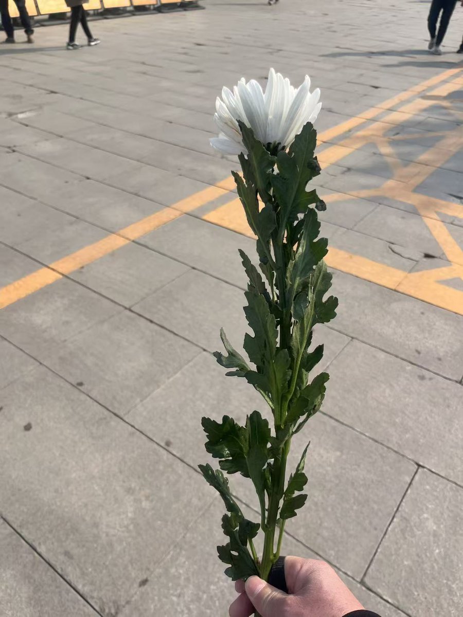 谭树平（言论自由） tweet media