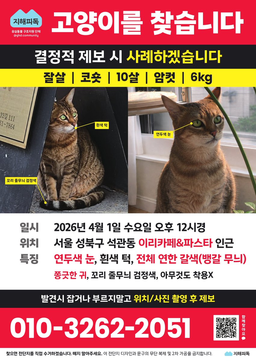 nomorelostpets's tweet photo. https://t.co/5nsMmE2sXv https://t.co/zdaUdNtlHj