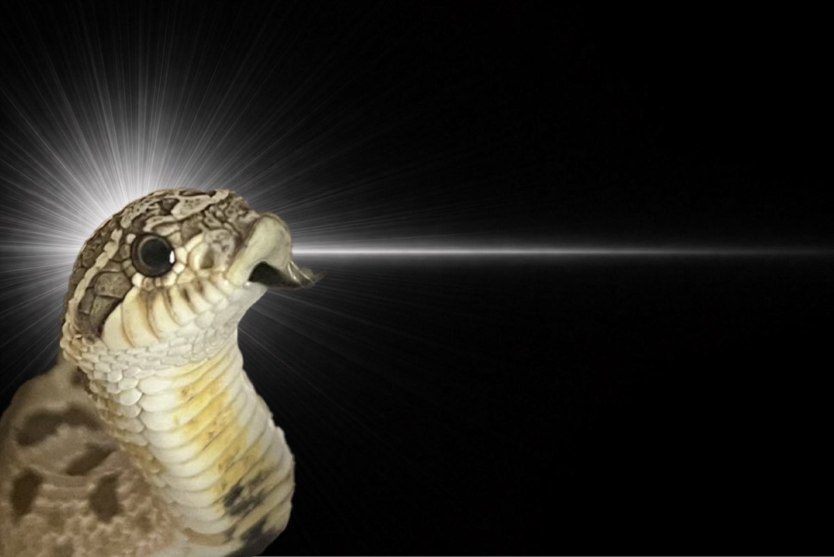 カイト tweet media