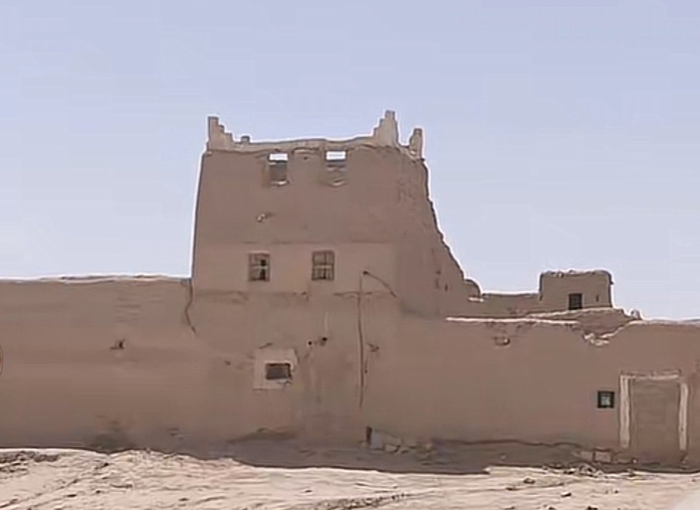 راشد tweet media