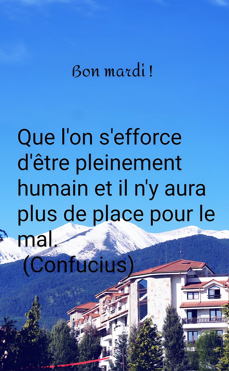 lyla 💞 💫 tweet media