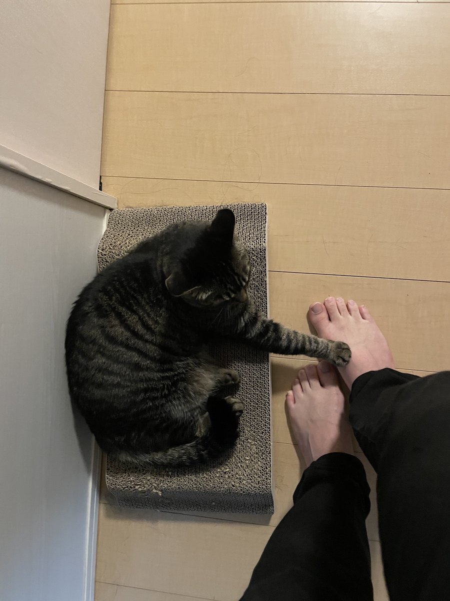 オイコス 無糖 tweet media