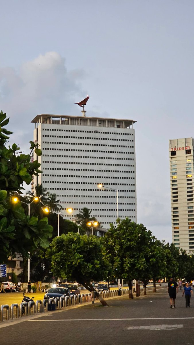 The WP Weekly tweet media