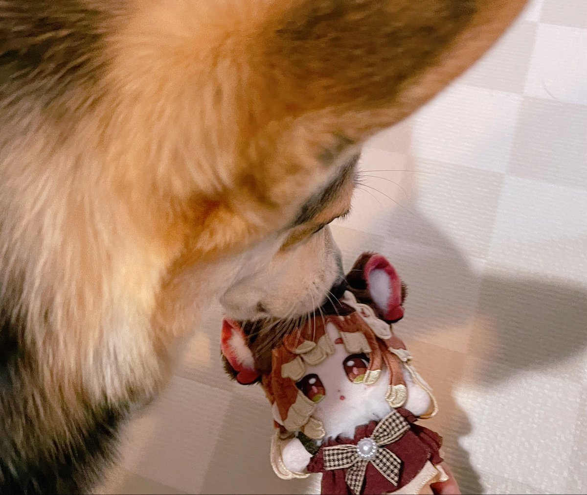 inugoya* 4/12VRCくりえいてぃ部D-15 tweet media