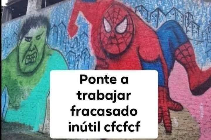 MaxEF/GatoEF456 tweet media