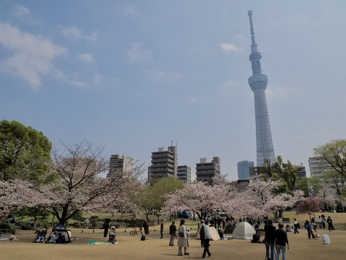 ロプロス tweet media