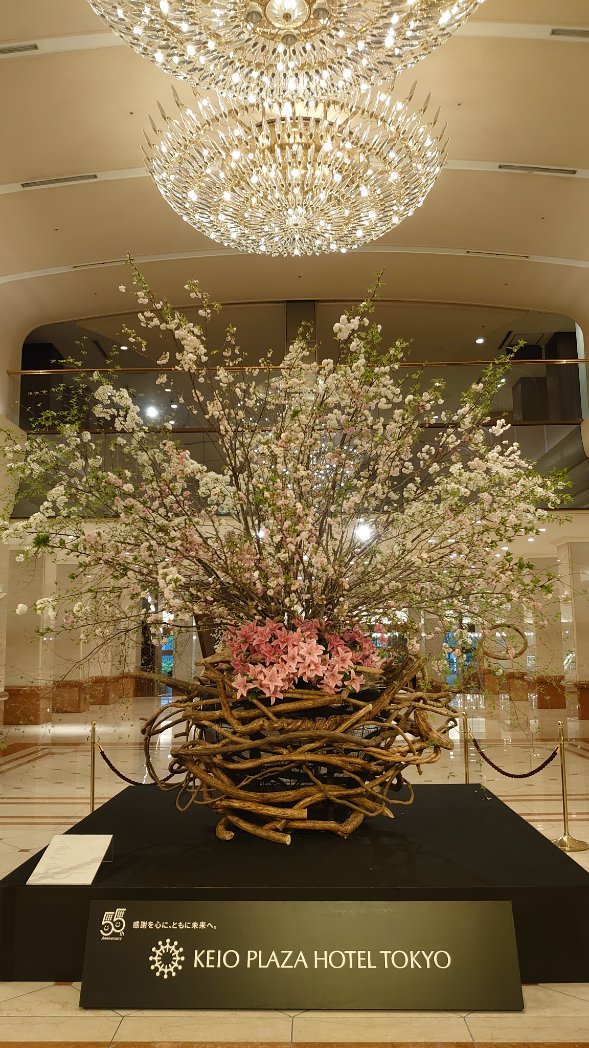 なも🐬 tweet media