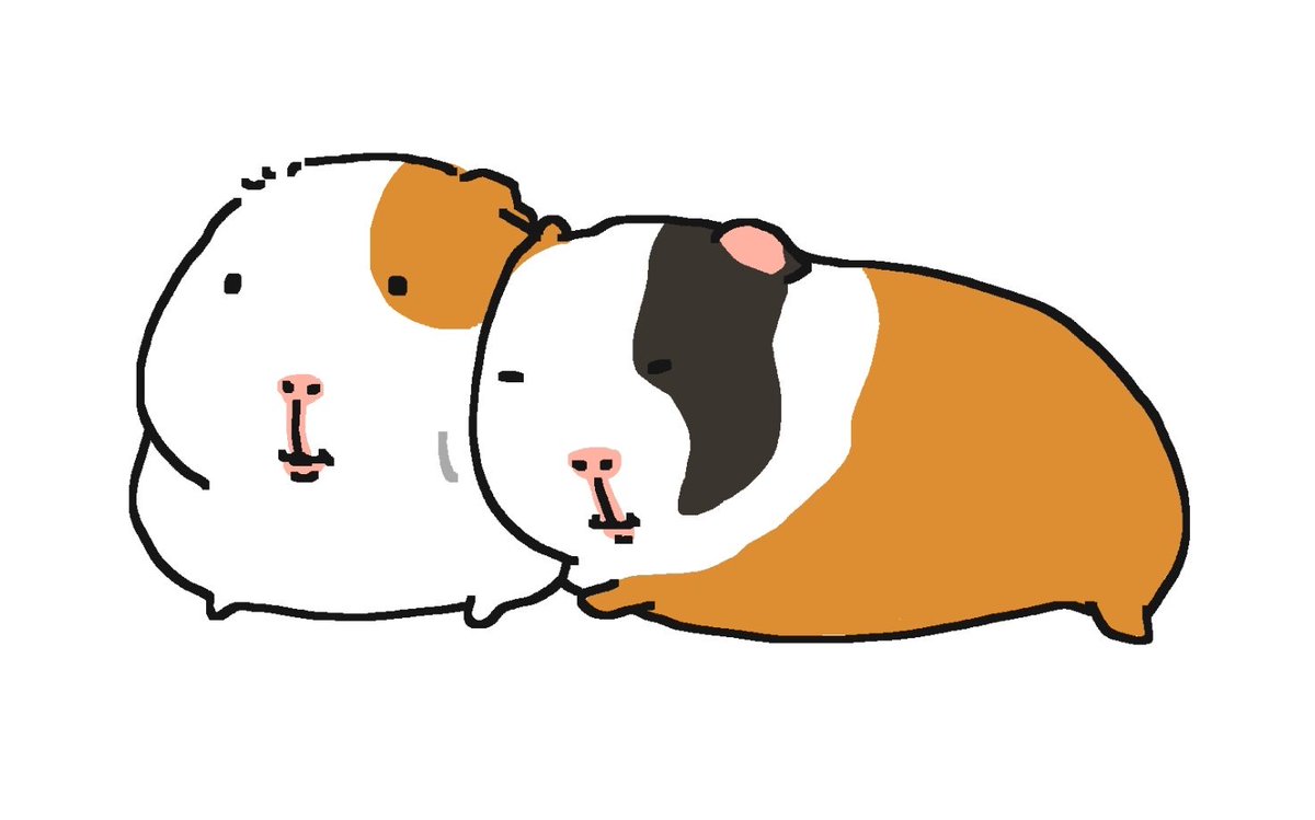 기붐온 tweet media