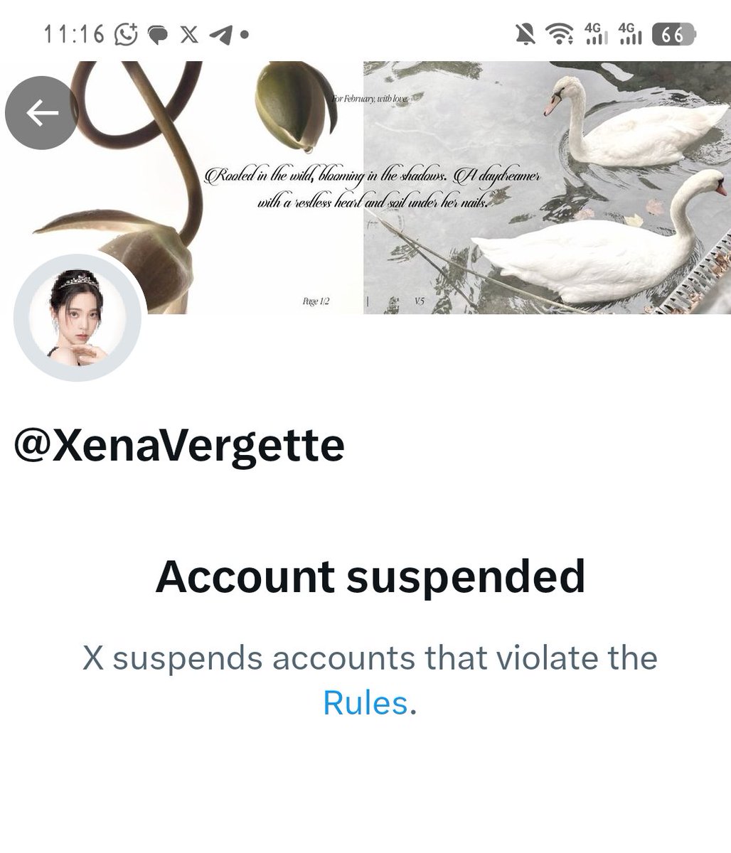 ⌘ ʚHαɳɳαɞ🝳 tweet media