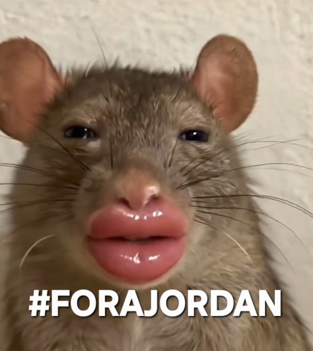 Rafael 🧙‍♀️🥂 tweet media