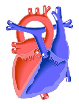 Crescent tweet media