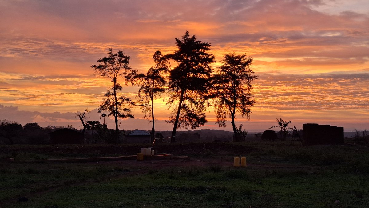 Kate Brankin 🇸🇸 🇸🇩 tweet media