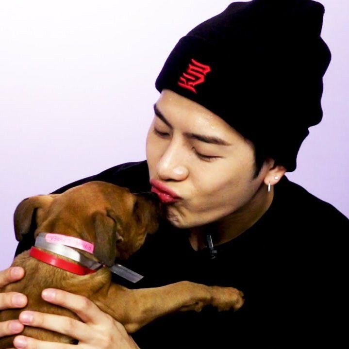 et1narcad1a's tweet photo. jackson is THE green forest 🥹💖

#JacksonWang https://t.co/QmkyTvhdhV