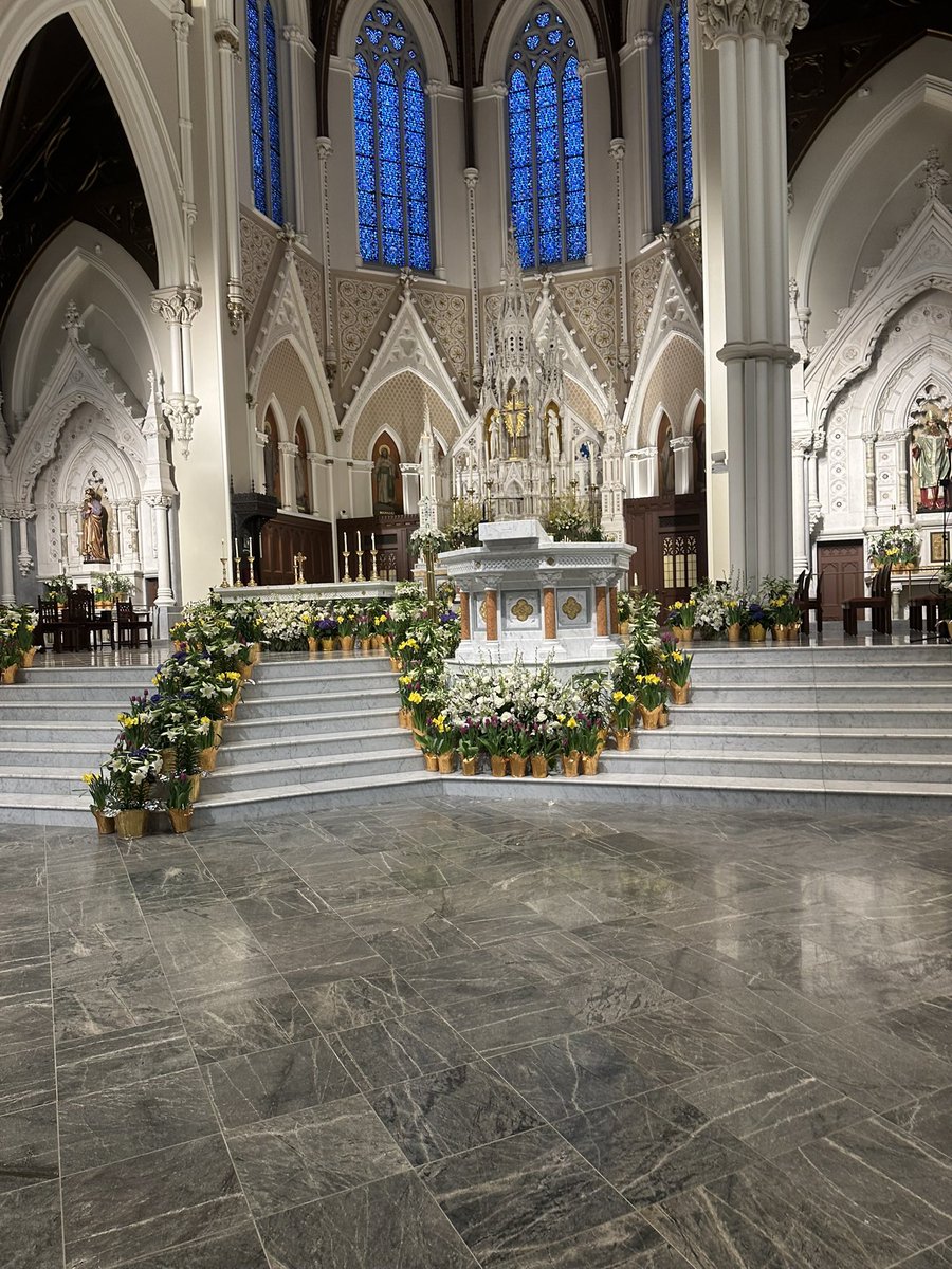 MartinaCurtin's tweet image. Day 95 #100daysofwalking 
Happy Easter.
#happyeaster #eastersunday #eastermass #spring
@NTBreakfast @NewstalkFM