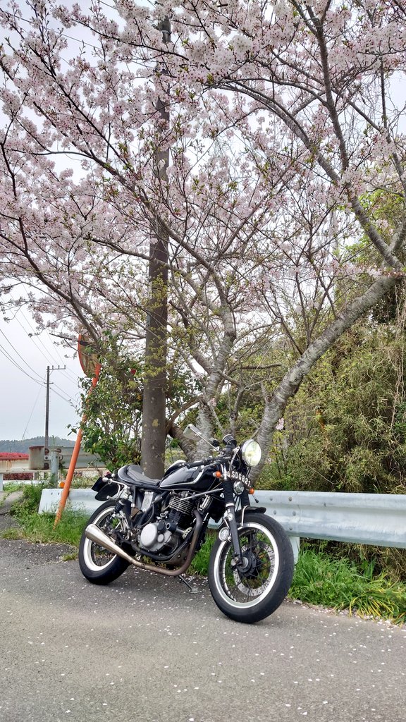 SRとMINIの人!!チバロックさん【関東SR組主宰】 tweet media