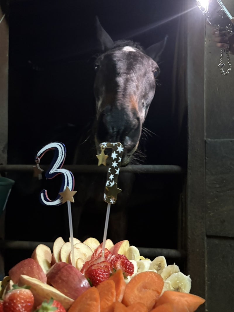 𝑹𝒊𝒏𝒊 • リニ 🐰🍪🐾 tweet media