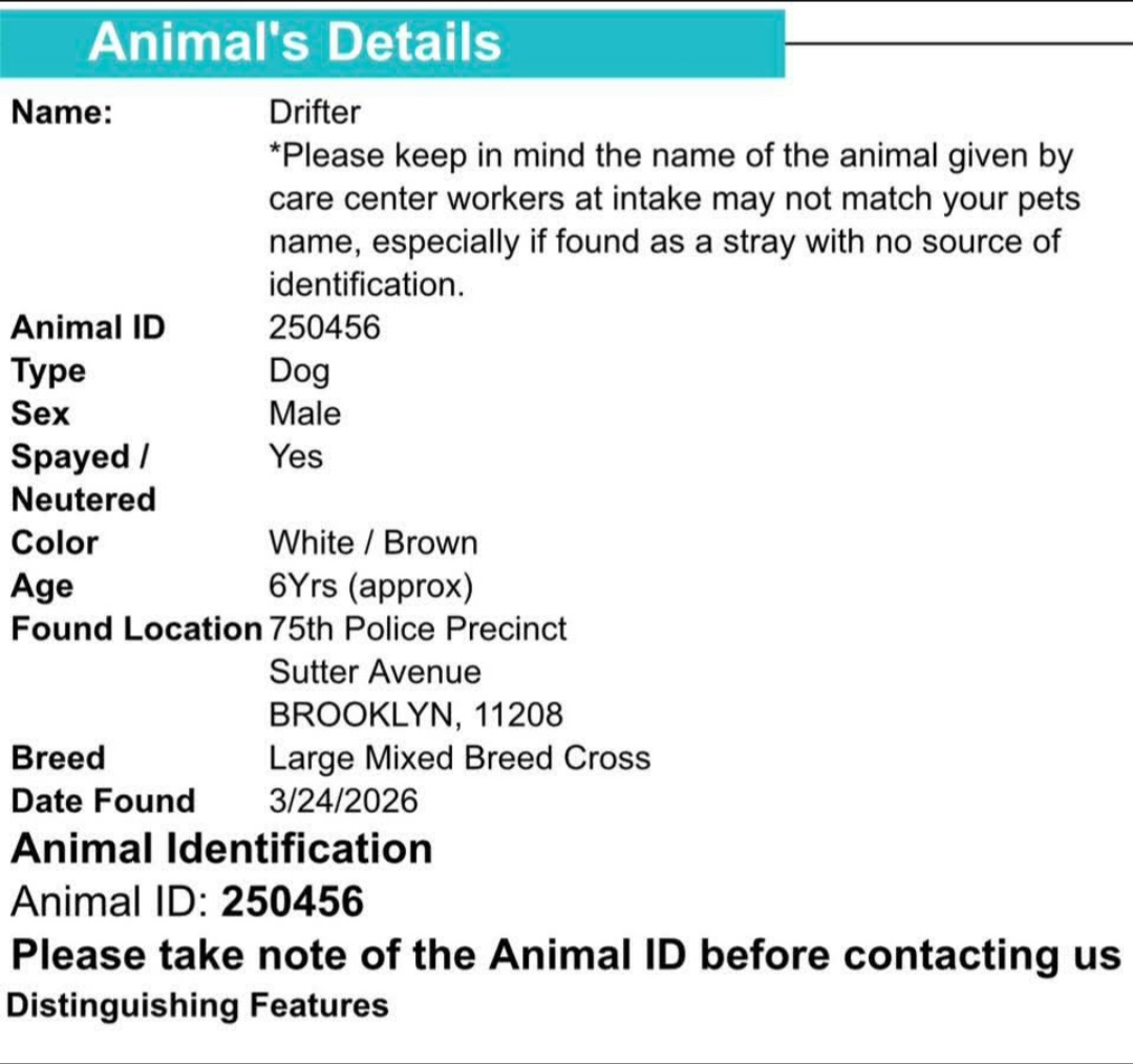 Morgan Fairchild's Dogs tweet media