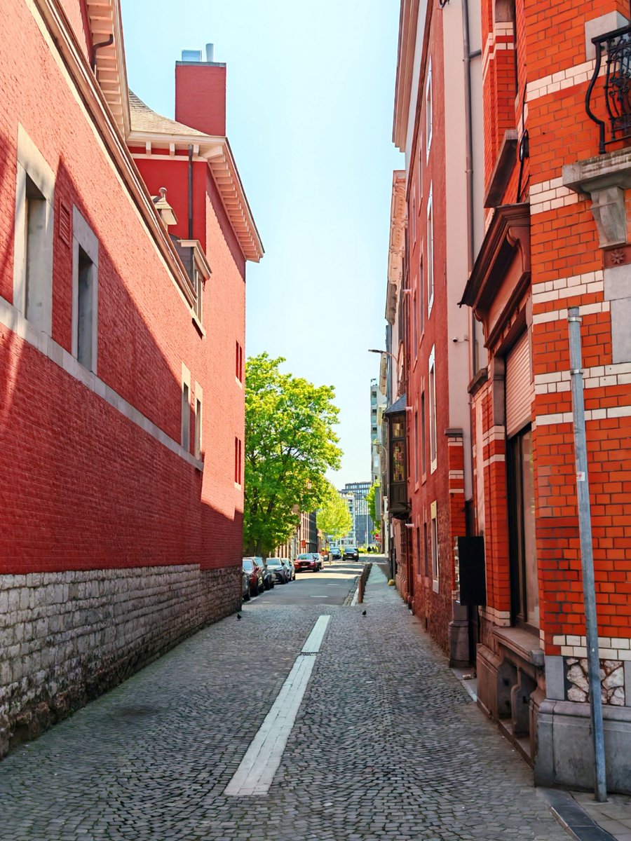 Dominic Sweeney tweet media