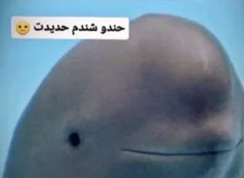 𝐌𝐨𝐡𝐚𝐦𝐦𝐞𝐝 | 𝐝𝐫𝐞𝐰 tweet media