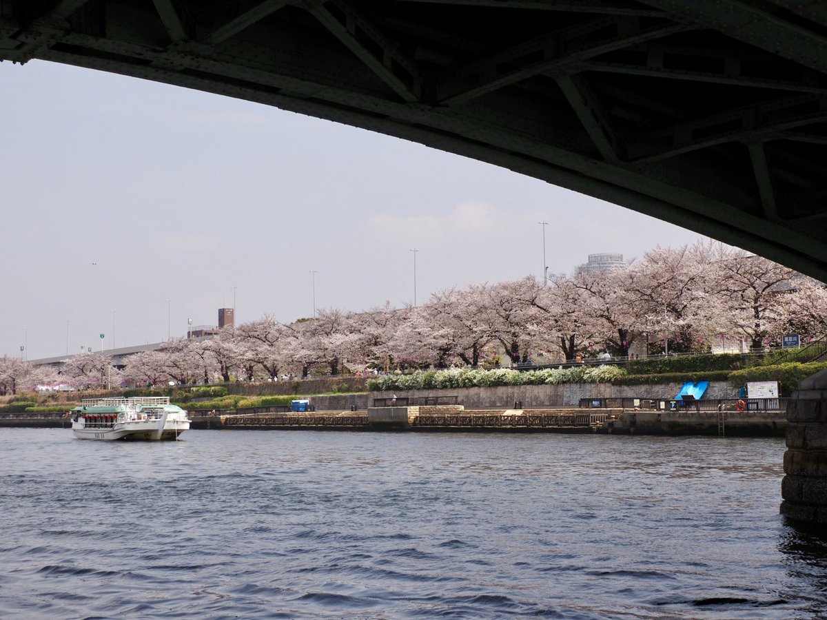 ロプロス tweet media