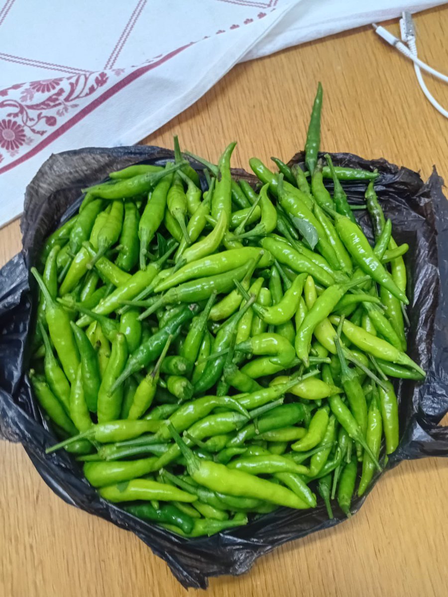 mdevelopmentage's tweet photo. From skills to harvest 🌱

The Marikana Agri Hub is producing fresh food, supporting local markets, and feeding 15 ECD centres.

This is development in action.
#MDAAgriHub #FoodSecurity #CommunityImpact https://t.co/PkUBPTEJvj