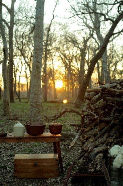 Mest Nick🪩🪩 tweet media