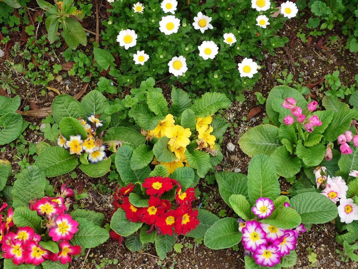 ハクビ サンダー⚡INFP こんがりハンター組合🍖@豆腐連合(玉子) tweet media