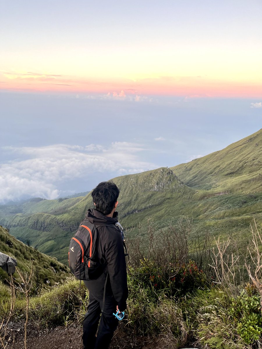 mas dodd tweet media