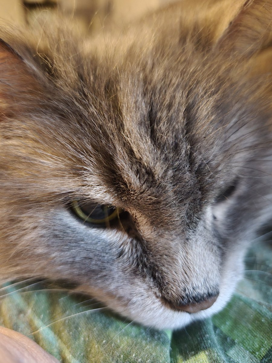 Knuckles6000 tweet media