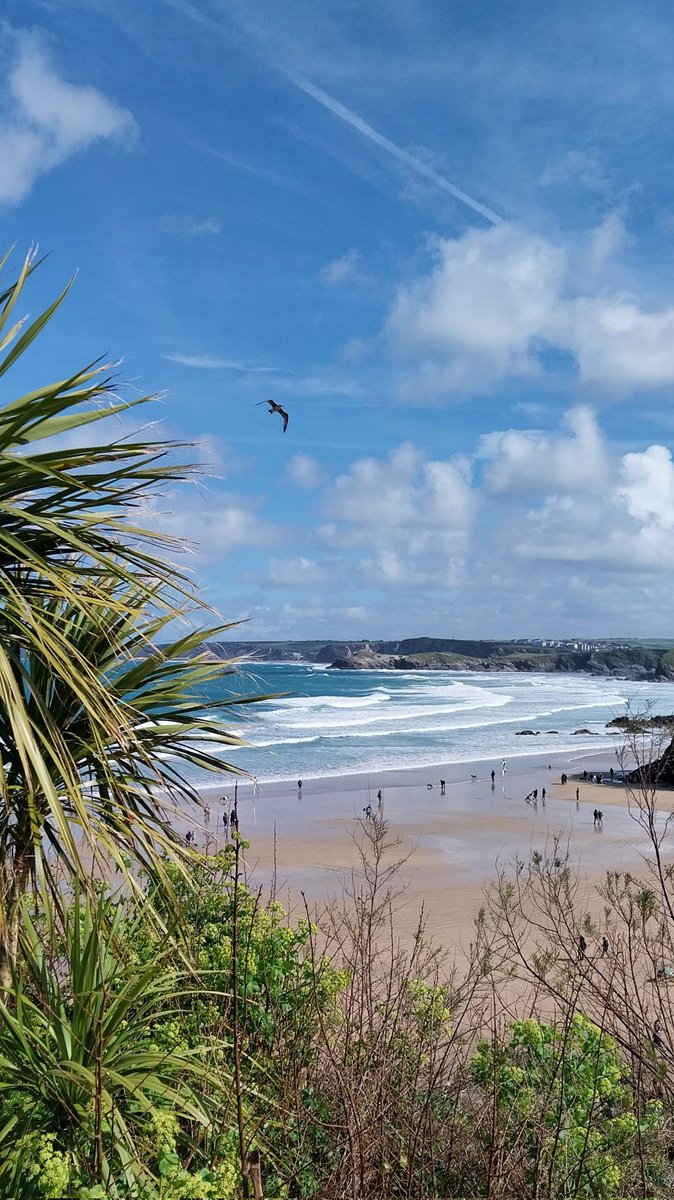 CornwallK8's tweet image. Good morning, all you Movers, Shakers &amp;amp; Magic Makers!🤩 Happy Tuesday!😊 I hope everyone has had a great Easter!🥳 Don't be too glum it's over, it's only a four day working week!😁 Put down the chocolate egg🤭Put on those smiles 😊 and have a fab day folks!😘
#TuesdayVibe