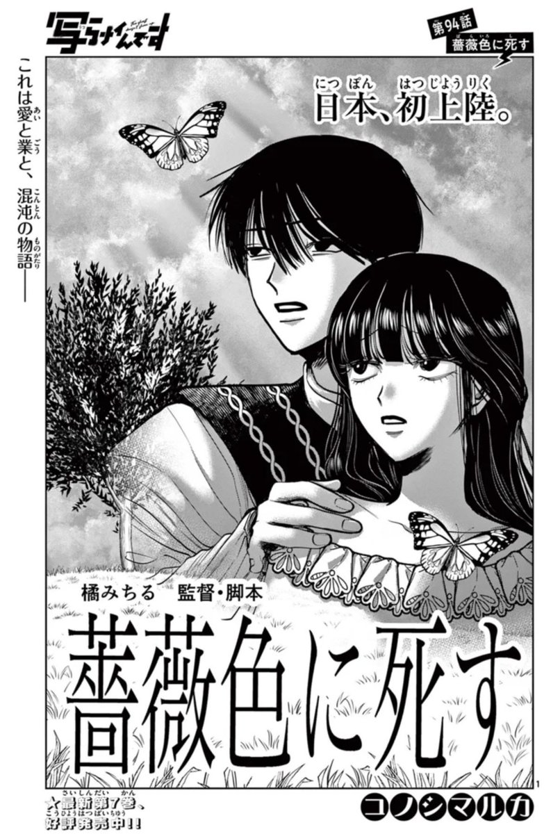 写らナイんです サンデー 3冊セット コノシマルカ 連載開始号 初版1巻