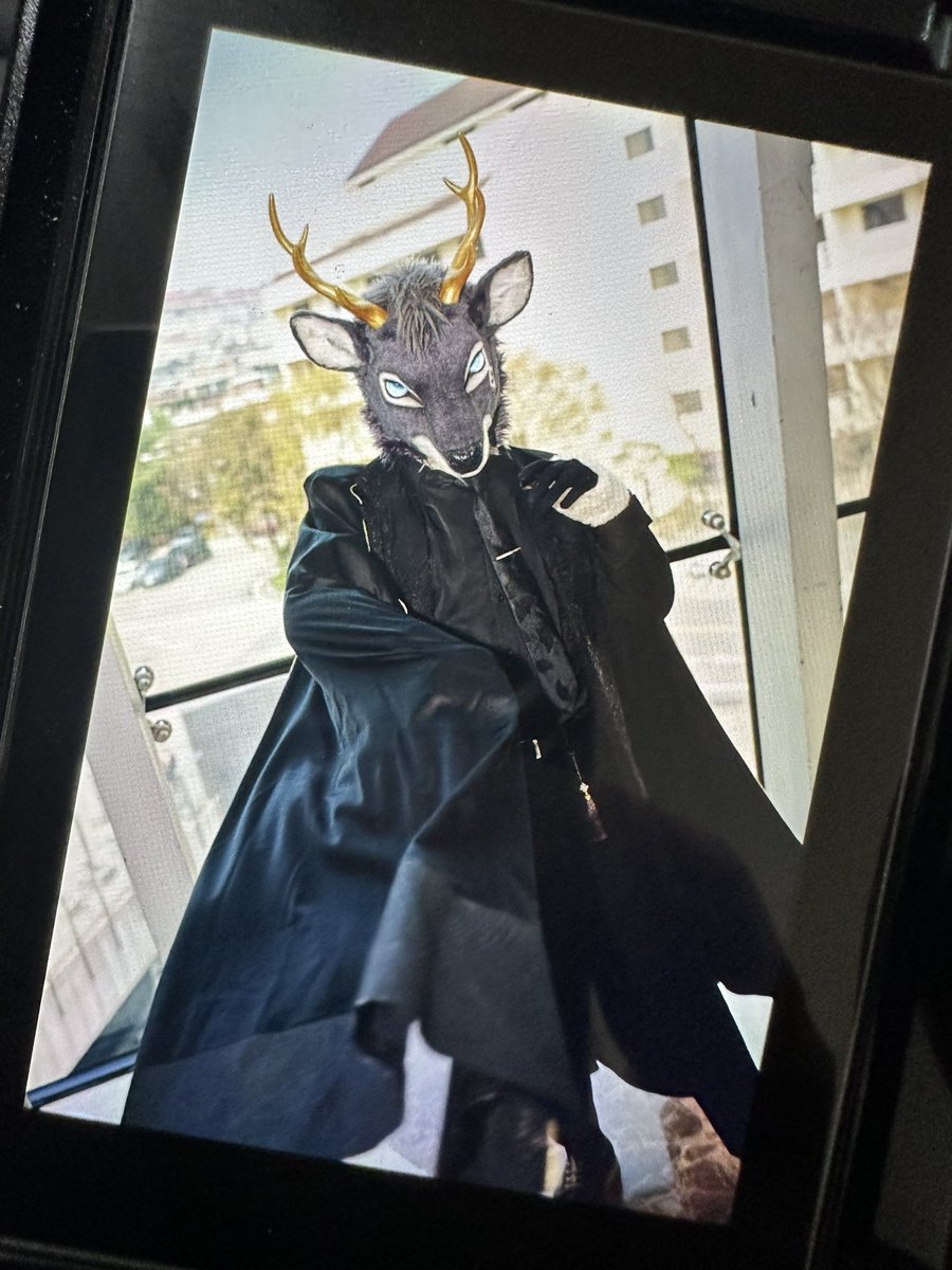 달리🐇 tweet media