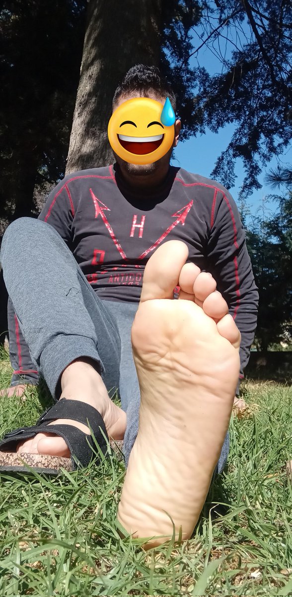 Pies Toluca tweet media