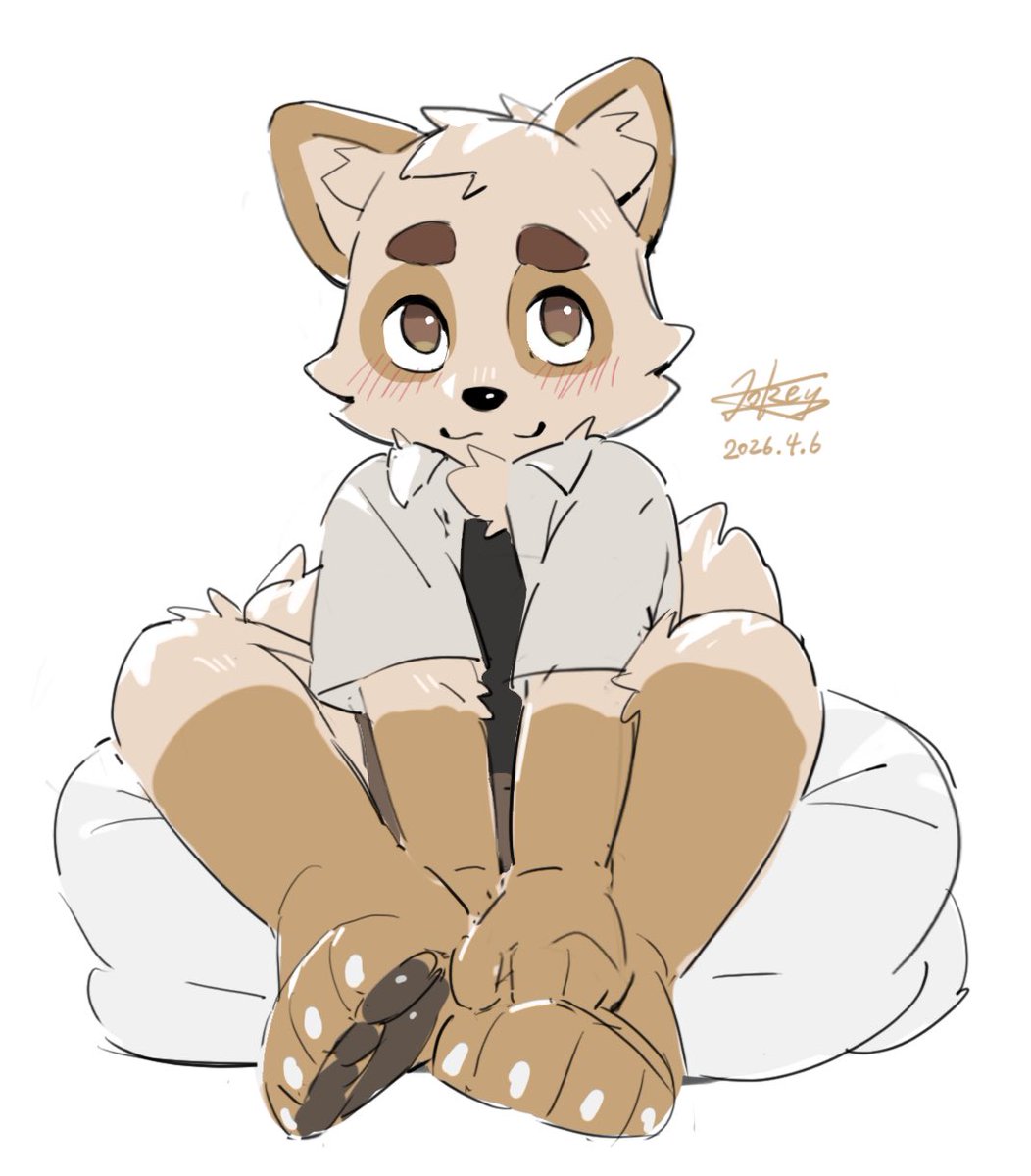 秋狸皋 tweet media