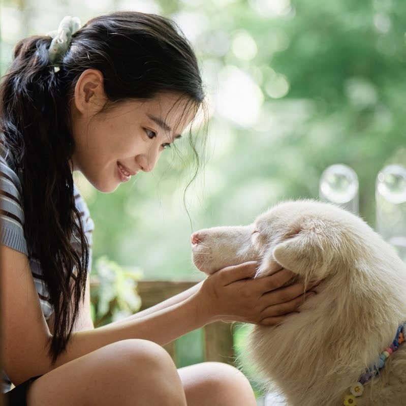 bwi🦷 // GOHAN 🐾 tweet media