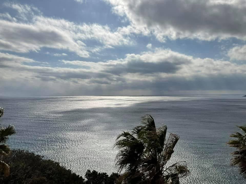 映画監督 東真司 Shinji Azuma (柴谷英樹) ANKH tweet media