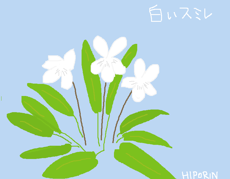 ひぽりんＳＥＣＯＮＤ tweet media