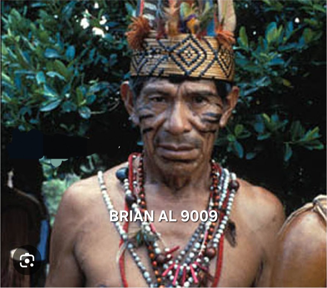 flashmvd tweet media