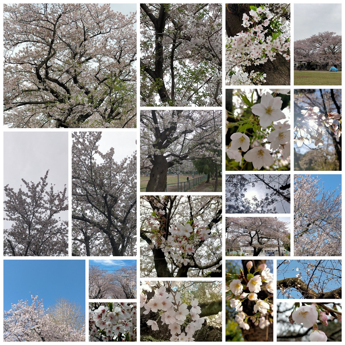 T.Urakawa tweet media